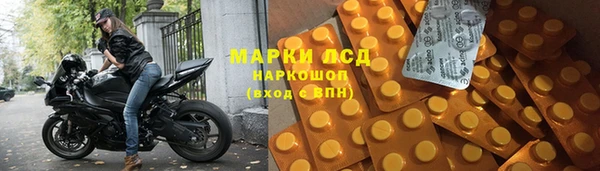 гашик Козловка