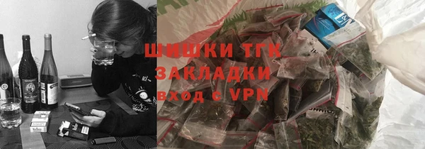 индика Козельск