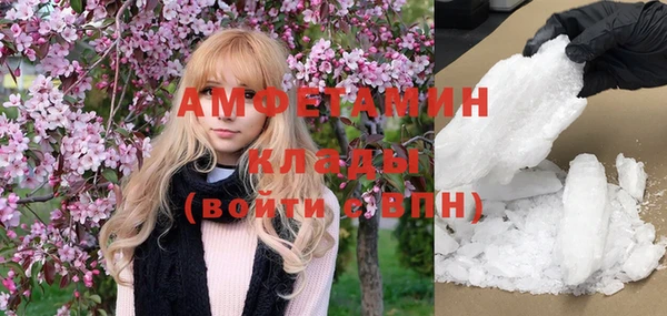 индика Козельск