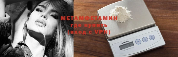 индика Козельск