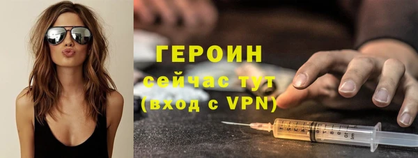 индика Козельск