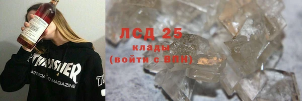 индика Козельск