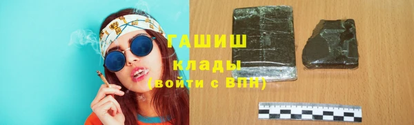 индика Козельск