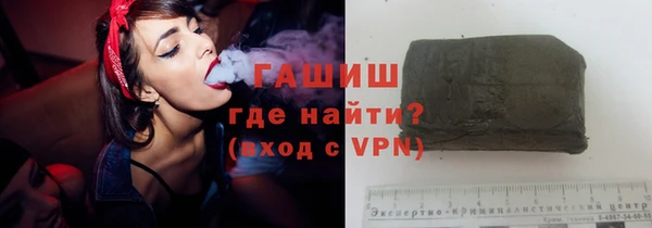 индика Козельск