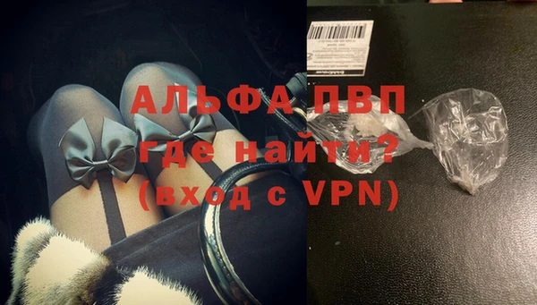 индика Козельск