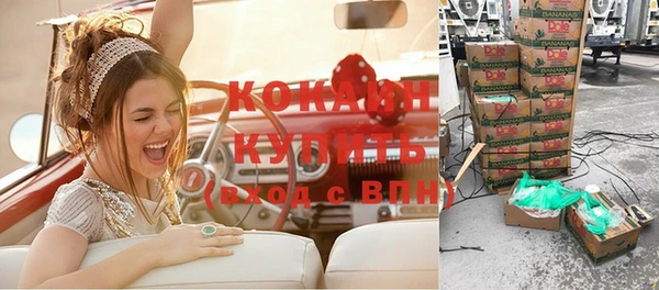 индика Козельск