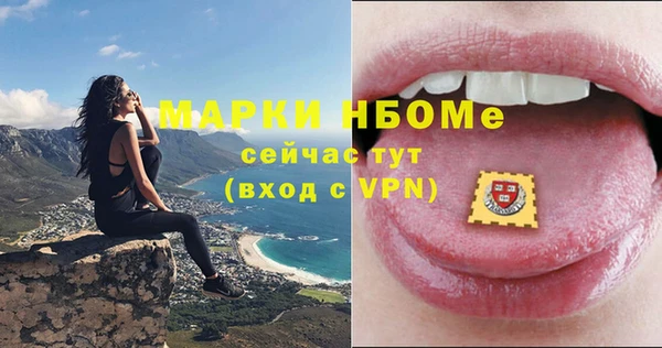 гашик Козловка