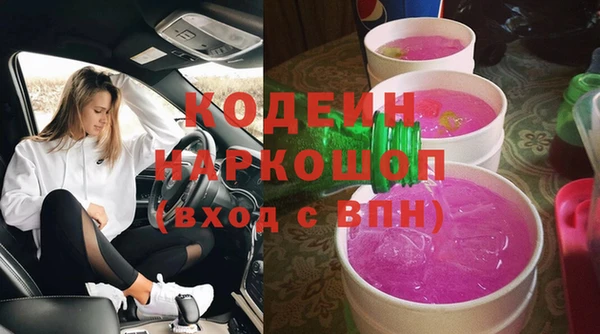 гашик Козловка
