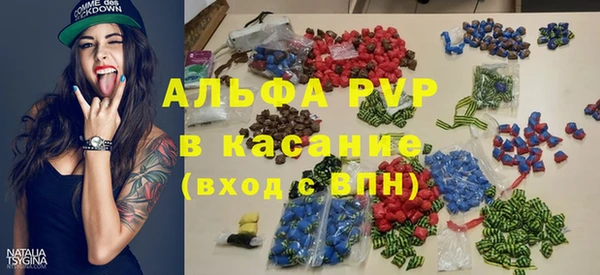 гашик Козловка