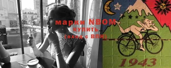 индика Козельск