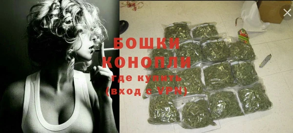 гашик Козловка