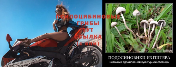круглые Костерёво