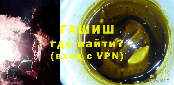 гашик Козловка