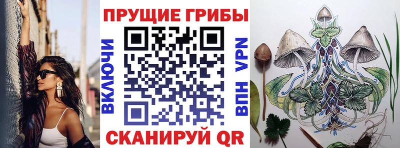Галлюциногенные грибы прущие грибы где продают Клинцы
